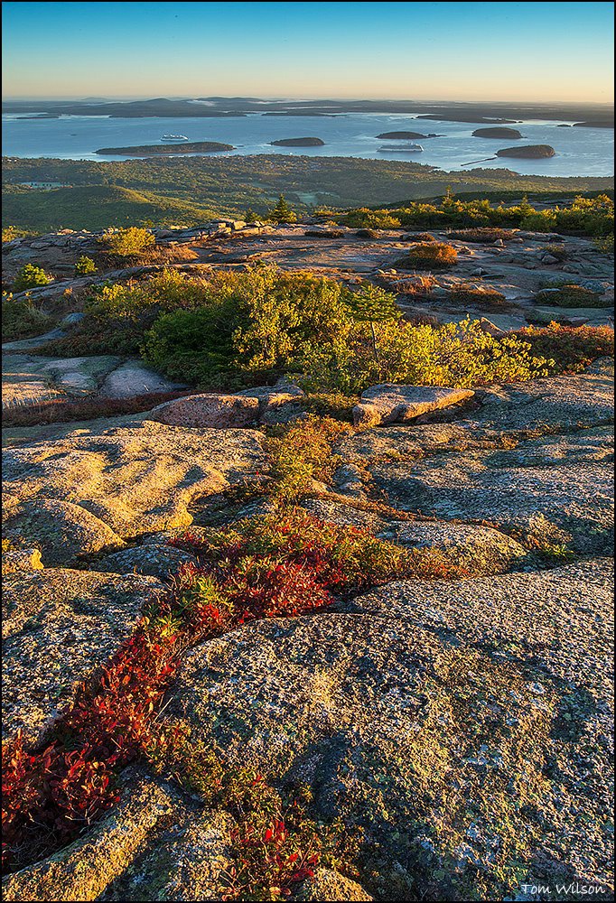 Vertical from Cadillac Mountain ii