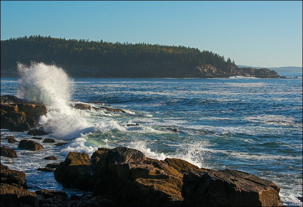 Wave Breaking on Maine Coast