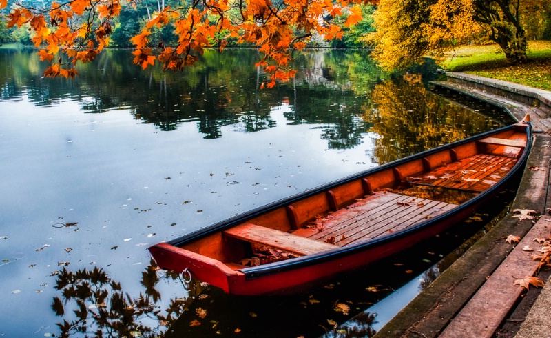 Fall at the Pond