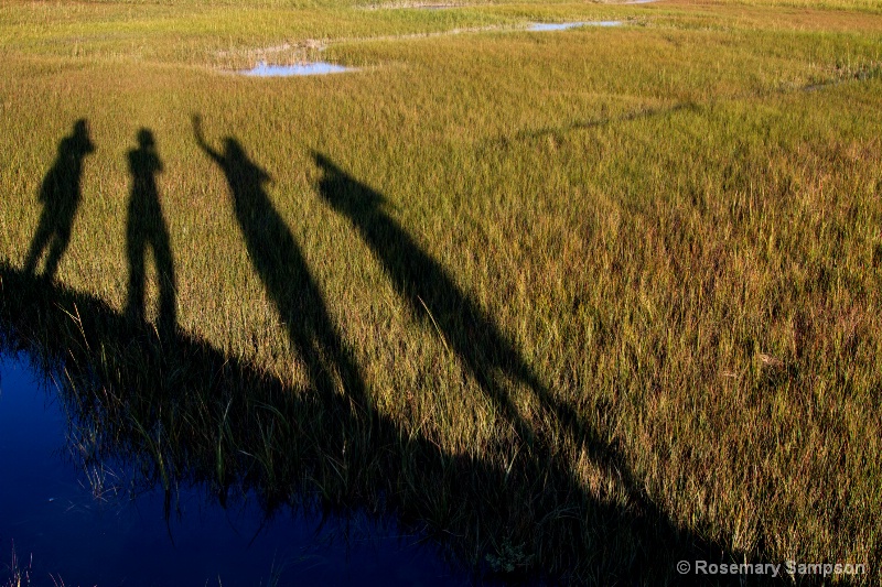 Boardwalk Silhouettes