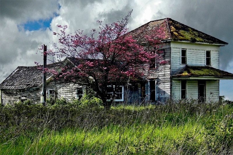 This Old House - ID: 15304651 © Denny E. Barnes