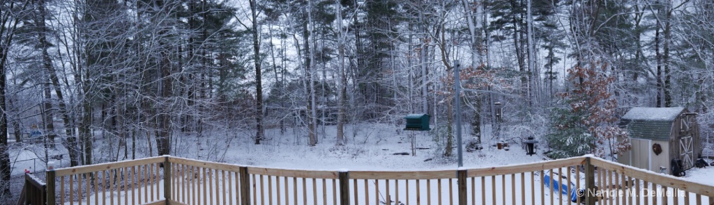Snow In New England1