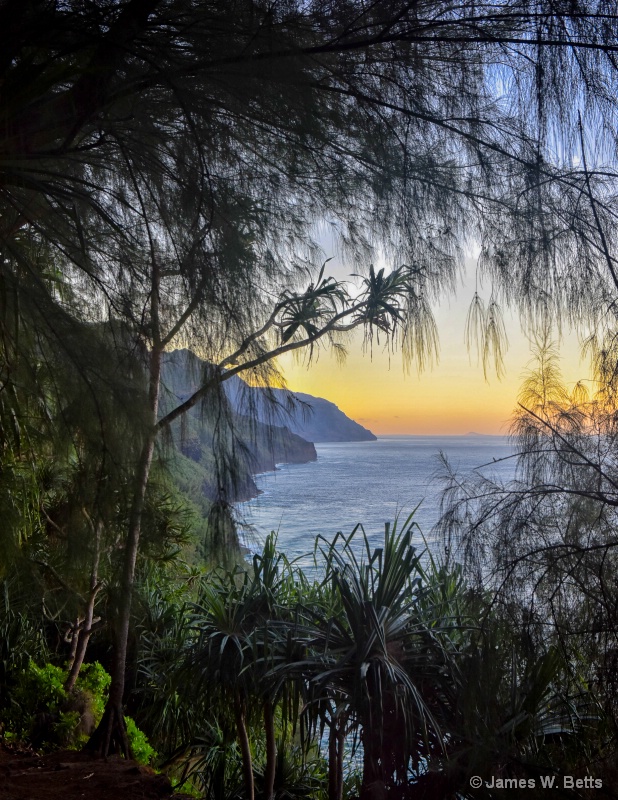 Na Pali Coast Kauai, HI - ID: 15305315 © James W. Betts