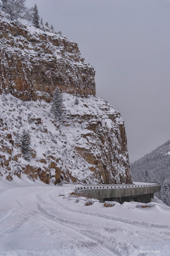 Yellowstone Winter - ID: 15306009 © Annie Katz