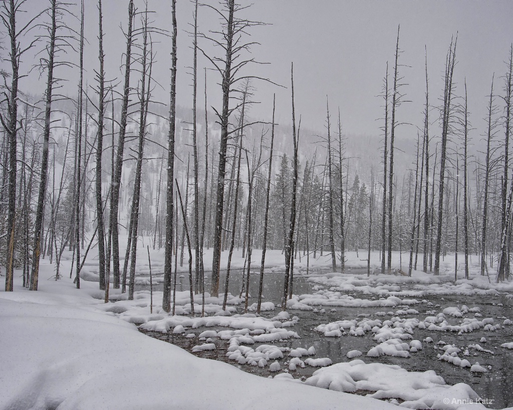 Yellowstone Winterscape - ID: 15306011 © Annie Katz