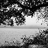 © Sydna Stout PhotoID # 15306397: lake travis