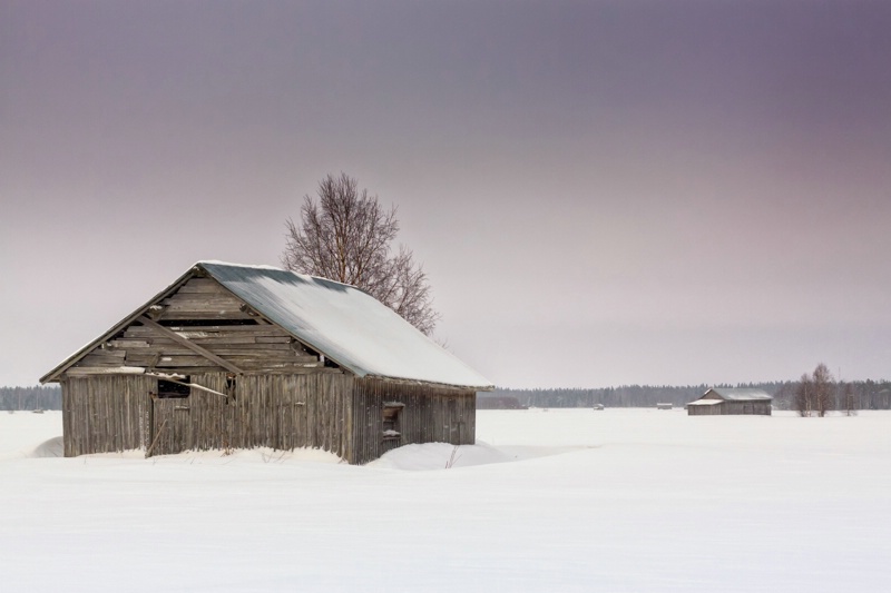 Barn Houses After The Snow Storm