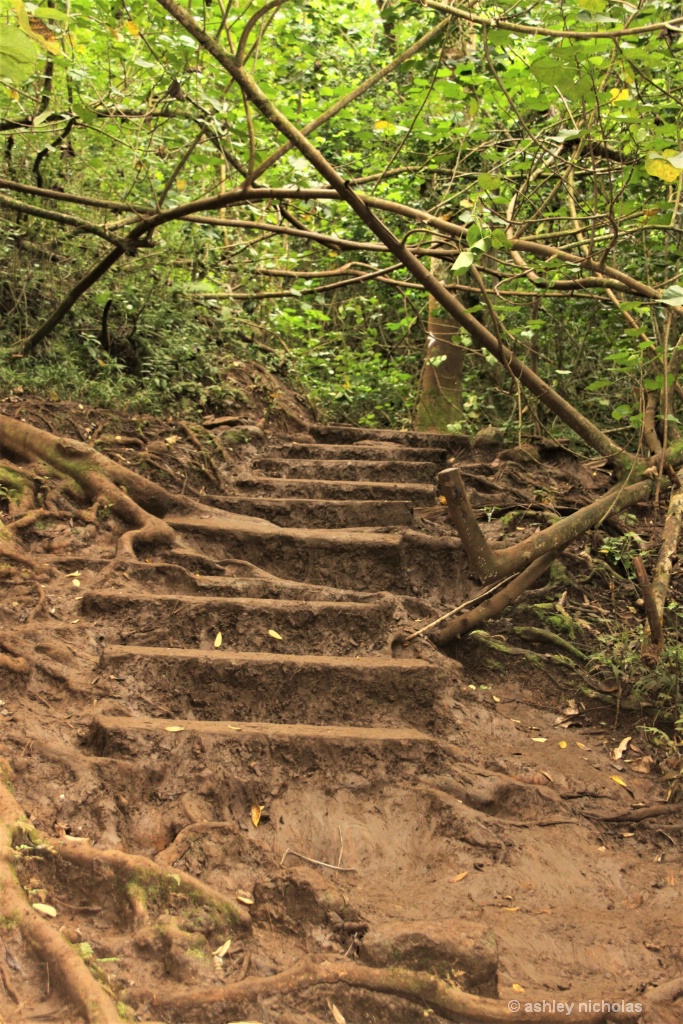 Oahu hiking