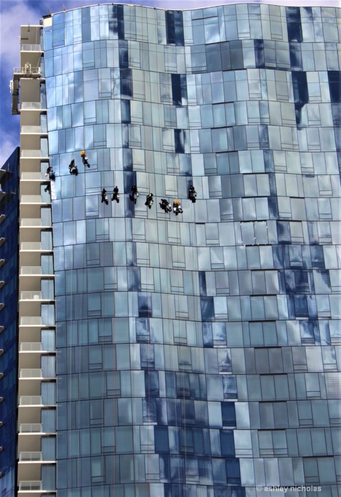 Window washers ,Honolulu - ID: 15306762 © ashley nicholas
