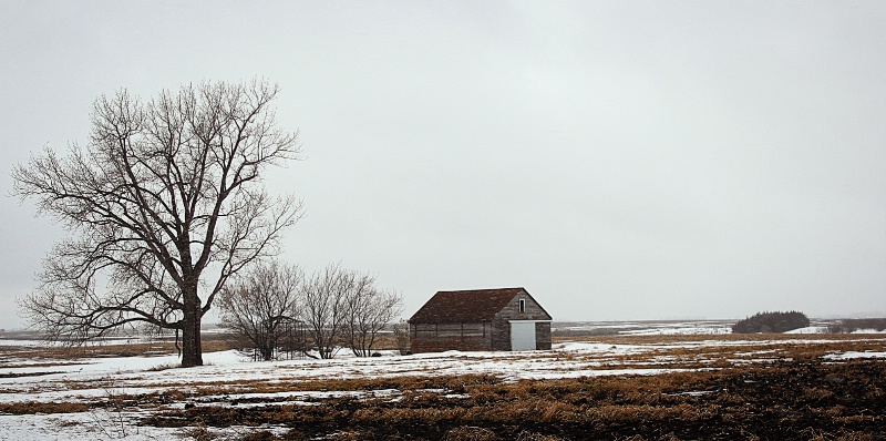 Prairie Remnant
