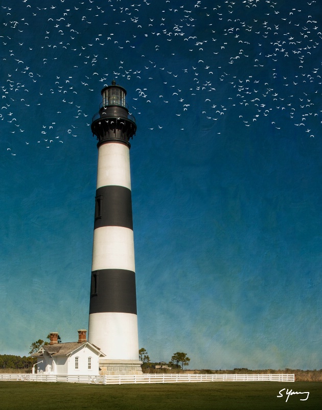 Bodie Island Light Station With Birds; NC