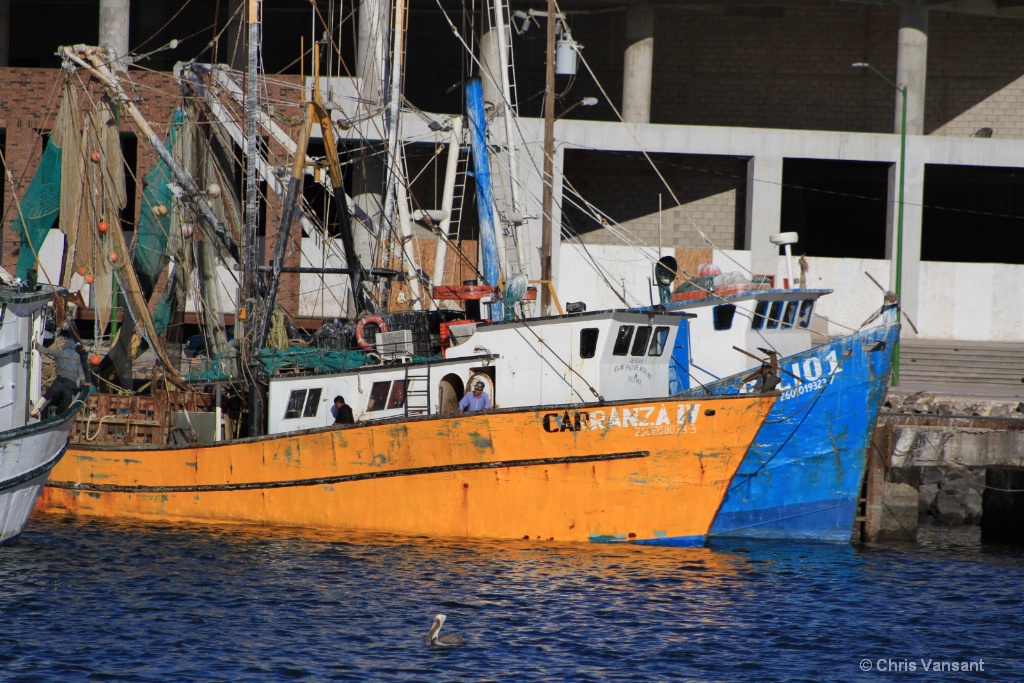 20151127 9795 Fishing boat - Puerto Penasco Mexico - ID: 15308757 © Chris Vansant