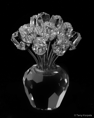 Swarovski Crystal Roses