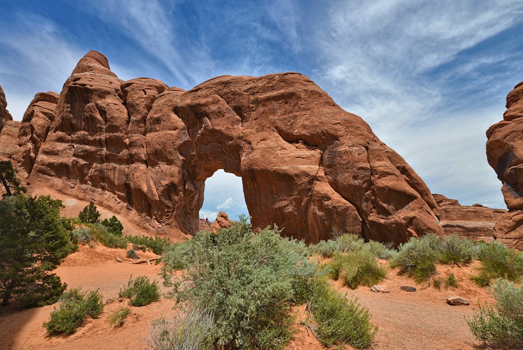 Pine Tree Arch