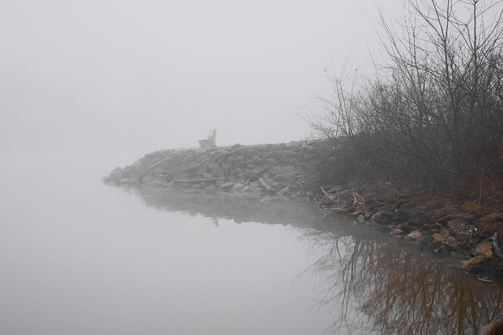 Foggy Park Bench