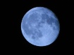 Blue Moon