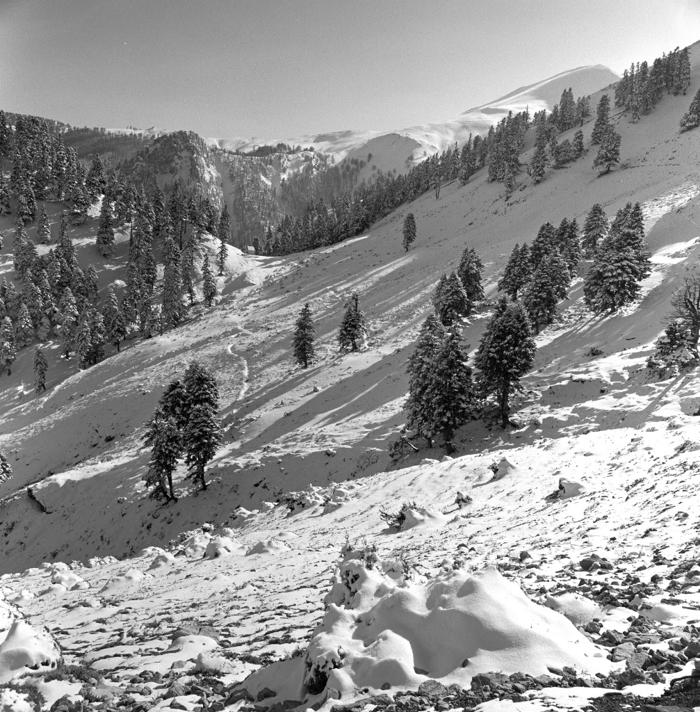 Winter. Mountain Landscape
