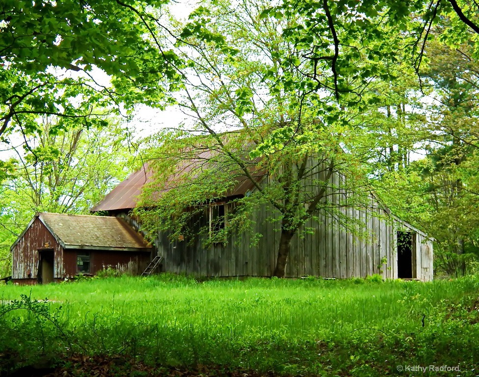 Old Barn in Summer