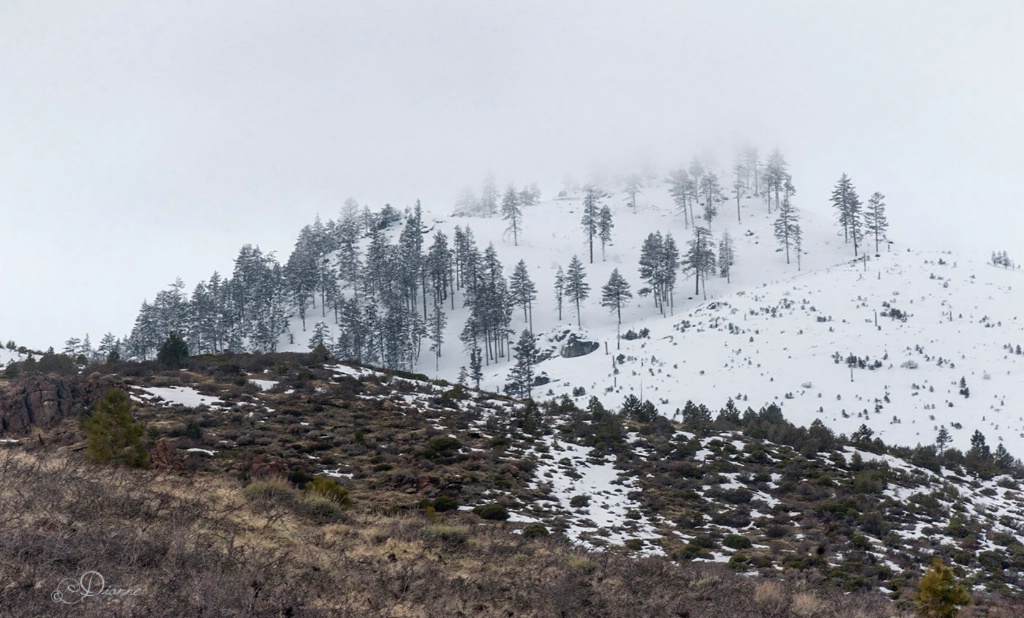 Snowy Mountain