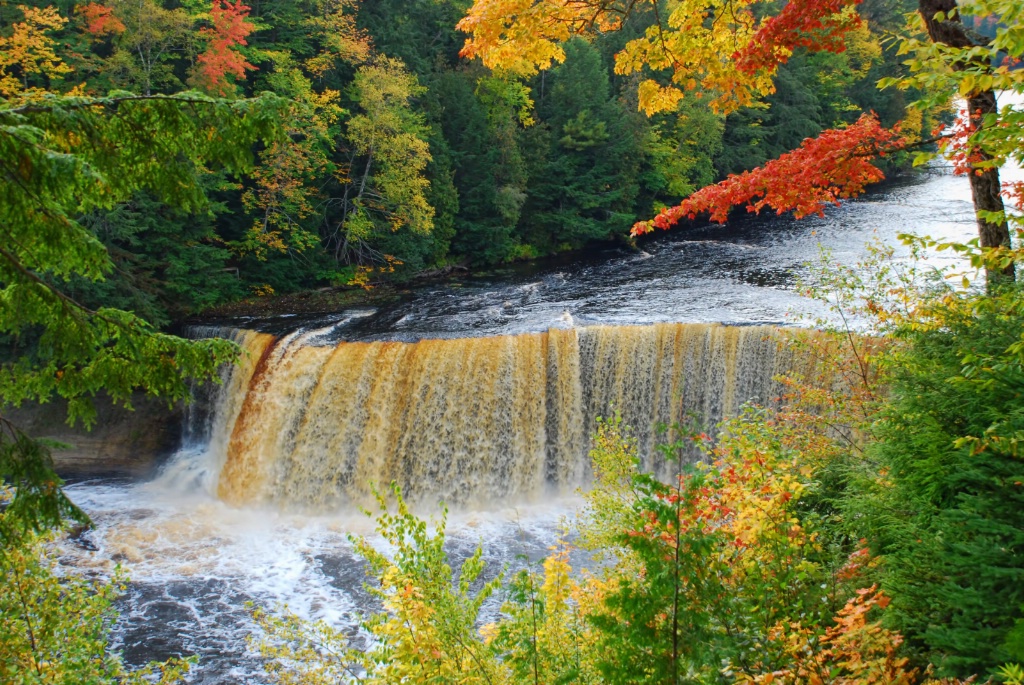 Tahquamenon Falls Autumn Splendor