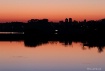 Morning In Glow