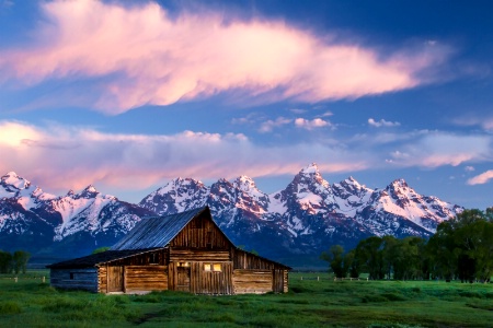 Morning At Mormon's Row