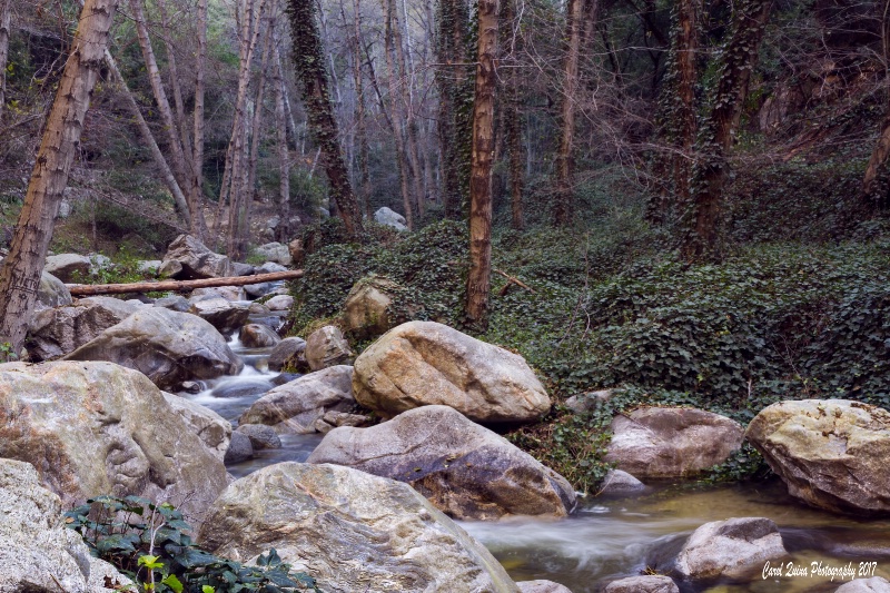 Along the way to Sturtevant Falls