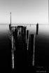 Lines and Shadows