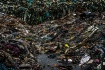 Plastic Pollution...