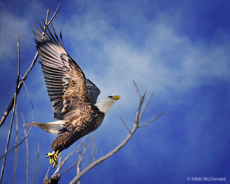 Skyward