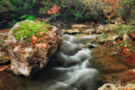 Jellico Creek