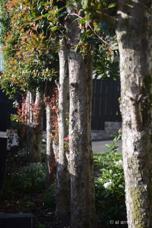 DSC 9454.JPG