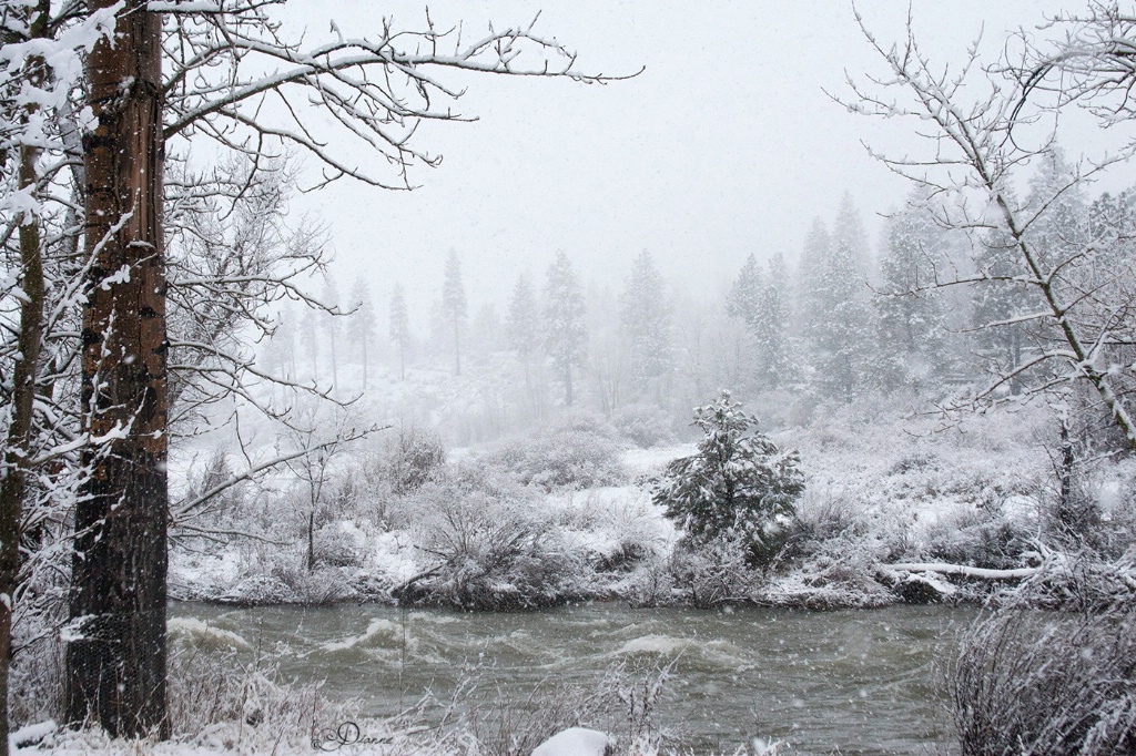 Cold Day At The River