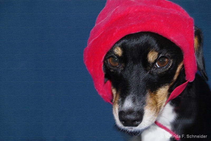 Little Red Riding Hood