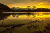 Golden morning 