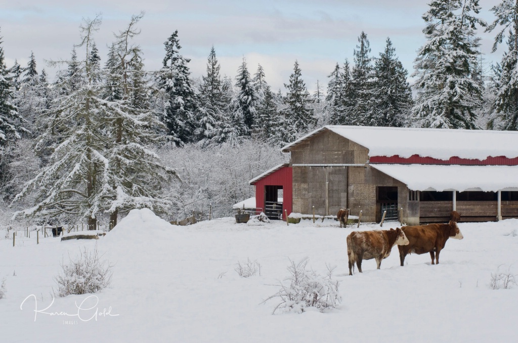 Red Barn - ID: 15316926 © Karen E. Gold