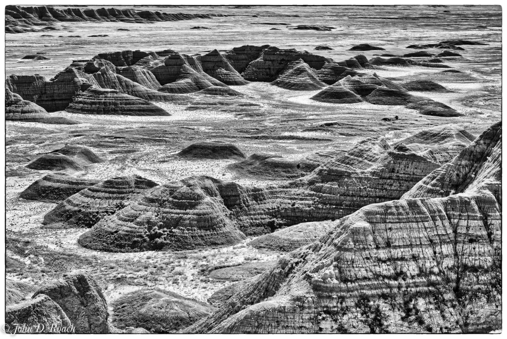 Sediment Mounds - The Badlands - ID: 15317645 © John D. Roach
