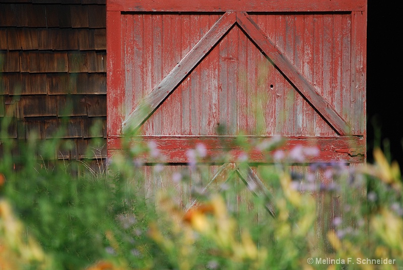 Barn Door 