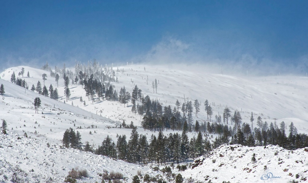 Blowing Snow