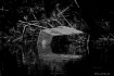 Junk in The Pond