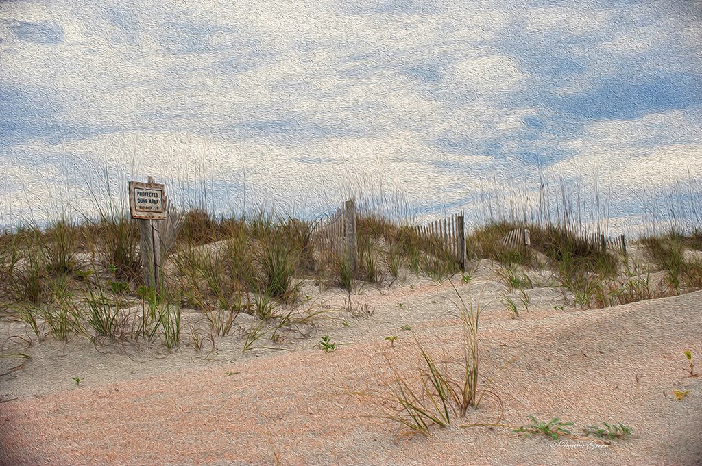 Dunes Day - ID: 15318739 © Robert/Donna Green