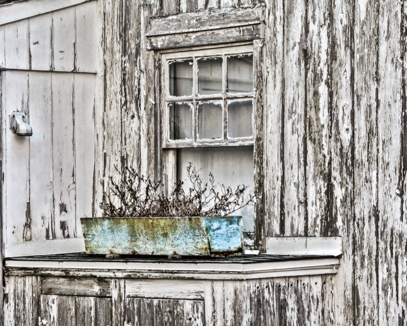 Window Garden