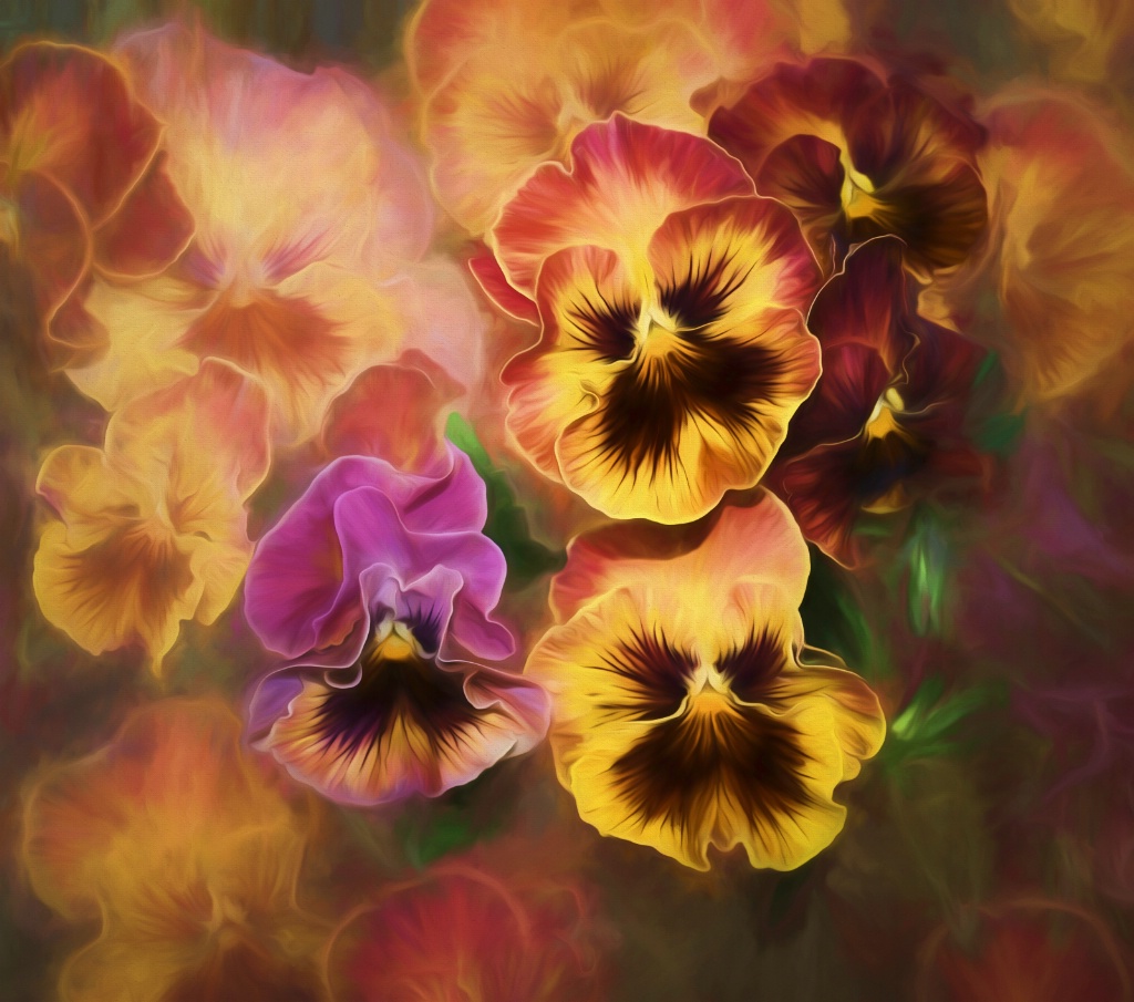 Lovely Spring Pansies