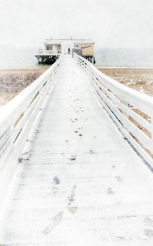 Wollaston Beach, Winter