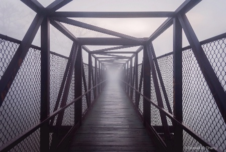 Bridge to the Unknown