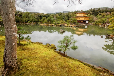 Golden palace Kyoto - HDR