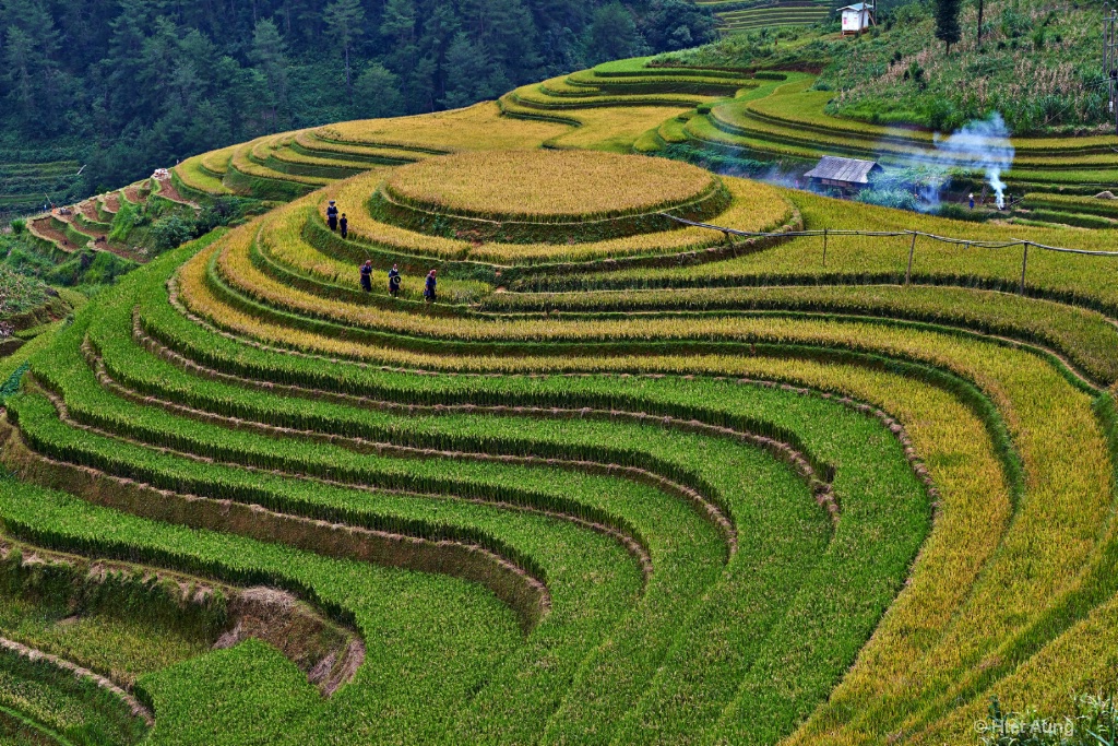 Mu Cang Chai Vietnam