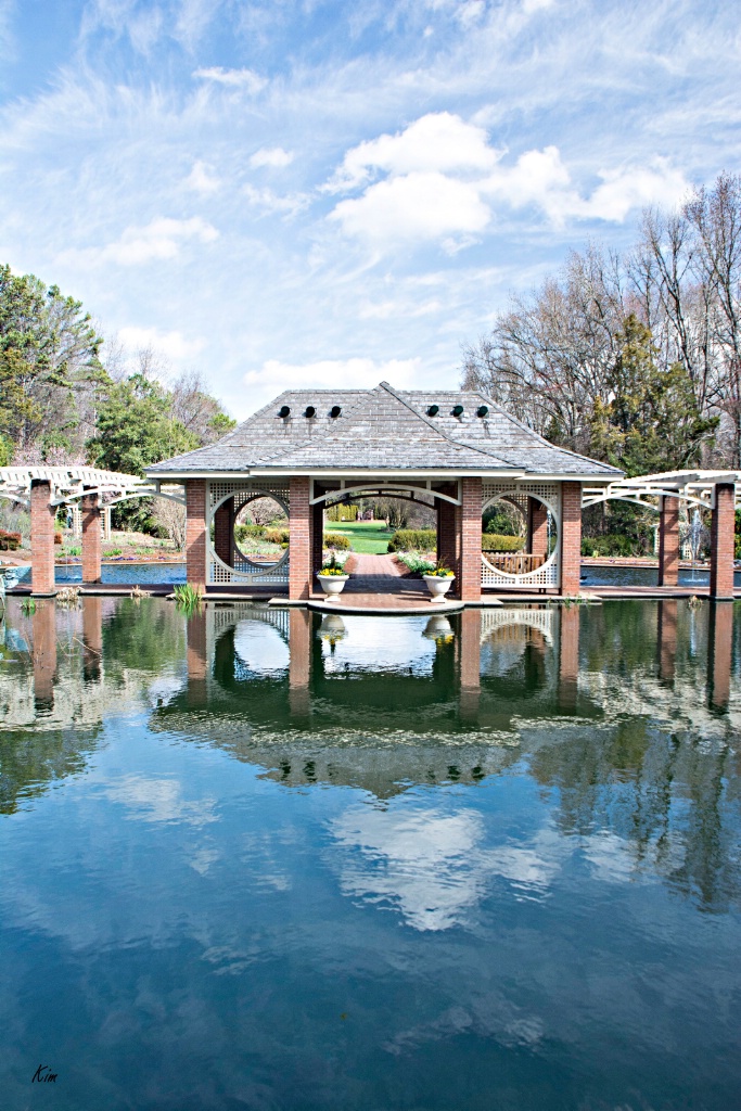 The Garden Pond