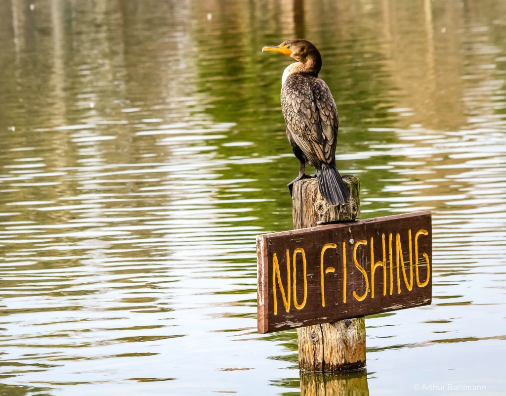 No Fishing! 