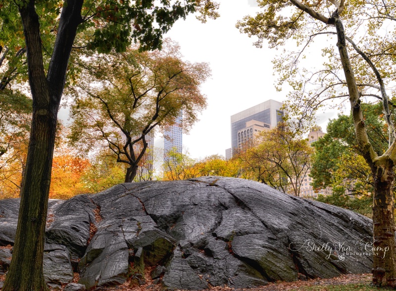 Central Park New York